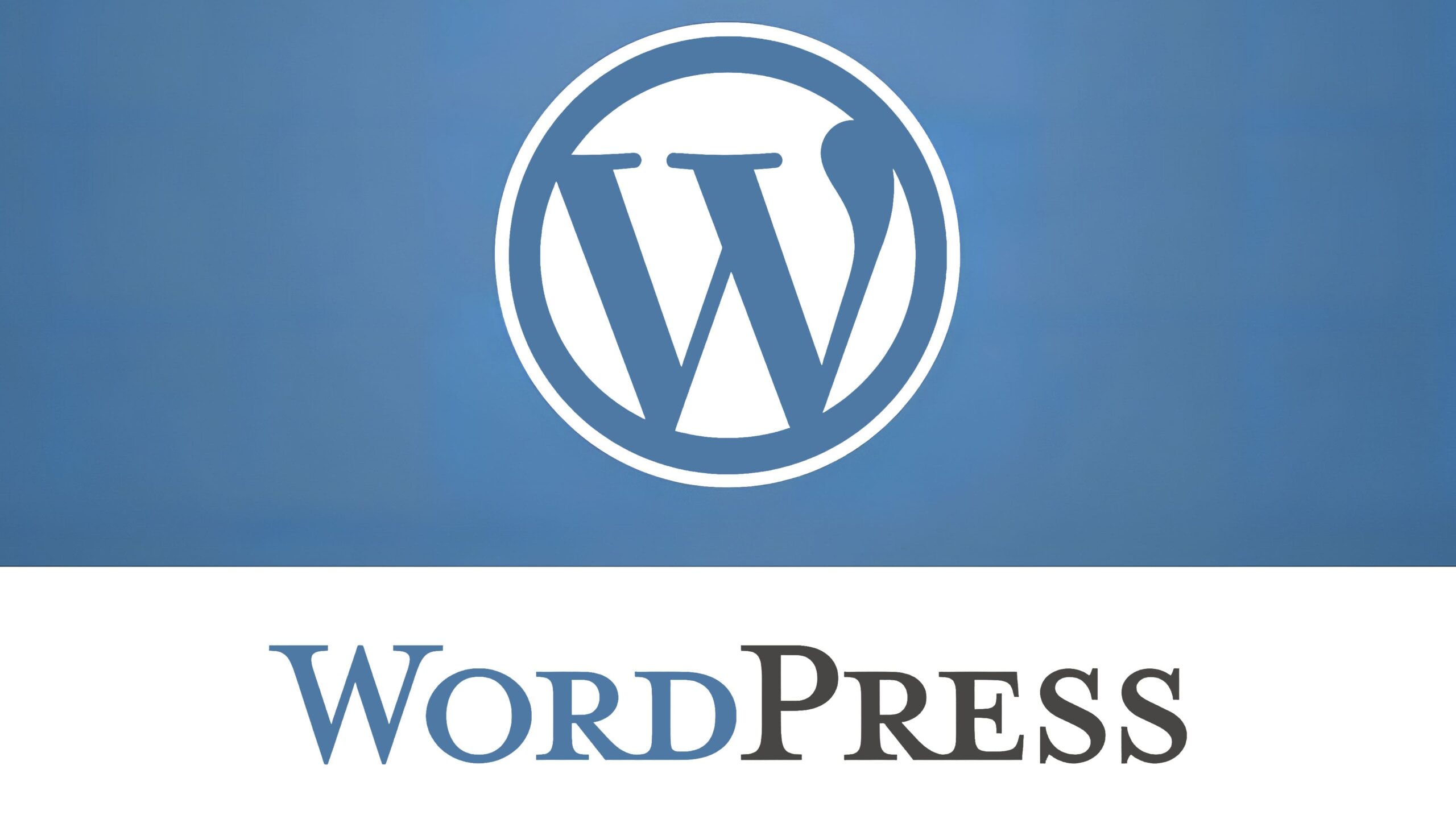 500.000 Websites durch WordPress-Fehler gefährdet Titel