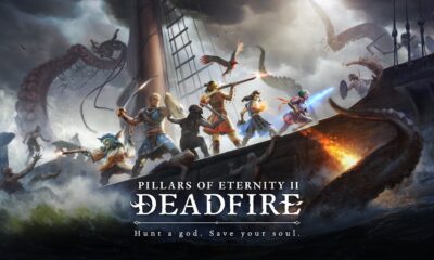Pillars of Eternity 2: Deadfire kommt nicht für Switch Titel