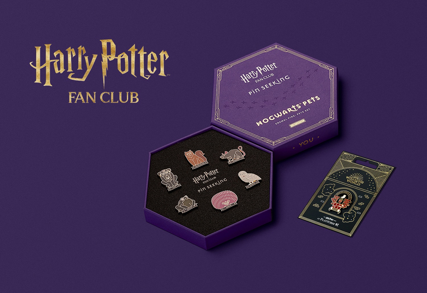 Hogwarts Legacy bietet Vorteile für Mitglieder des Harry Potter Fan Clubs Titel