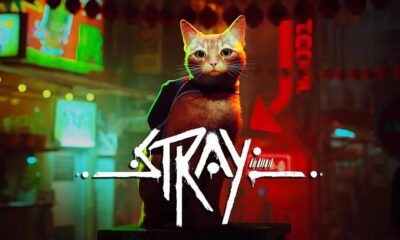 stray release on xbox incoming title