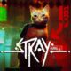 stray release on xbox incoming title